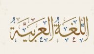 صورة مقال مقال عن الاعتزاز باللغة العربية