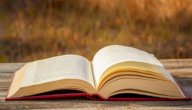 ملخص كتاب شجون عربية صورة مقال ملخص كتاب شجون عربية