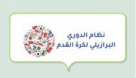 نظام الدوري البرازيلي لكرة القدم