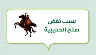 سبب نقض صلح الحديبية صورة مقال سبب نقض صلح الحديبية