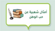 أمثال شعبية عن حب الوطن صورة مقال أمثال شعبية عن حب الوطن