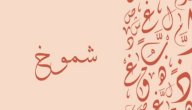صورة مقال معنى اسم شموخ