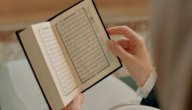 معنى الحواريين في القرآن الكريم صورة مقال معنى الحواريين في القرآن الكريم