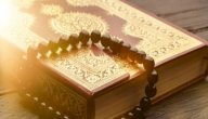 آيات قرآنية عن الاختلاف بين الناس صورة مقال آيات قرآنية عن الاختلاف بين الناس