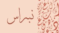 معنى اسم نبراس صورة مقال معنى اسم نبراس