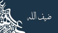 معنى اسم ضيف الله صورة مقال معنى اسم ضيف الله
