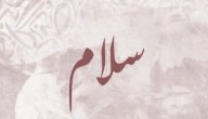 معنى اسم سلام صورة مقال معنى اسم سلام