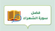 فضل سورة الشعراء صورة مقال فضل سورة الشعراء