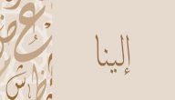 معنى اسم إلينا صورة مقال معنى اسم إلينا