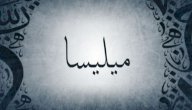 معنى اسم ميليسا صورة مقال معنى اسم ميليسا