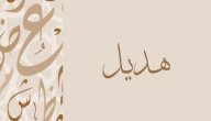معنى اسم هديل صورة مقال معنى اسم هديل