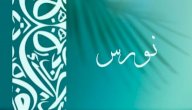 صورة مقال معنى اسم نورس
