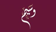 معنى اسم وسيم صورة مقال معنى اسم وسيم