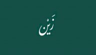 معنى اسم زين صورة مقال معنى اسم زين