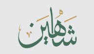 معنى اسم شاهين صورة مقال معنى اسم شاهين