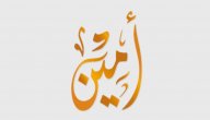 معنى اسم أمين صورة مقال معنى اسم أمين