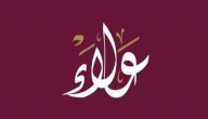معنى اسم علاء صورة مقال معنى اسم علاء