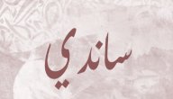 صورة مقال معنى اسم ساندي