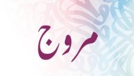 صورة مقال معنى اسم مروج