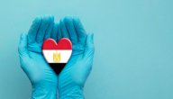 قصيدة أحمد شوقي في حب مصر صورة مقال قصيدة أحمد شوقي في حب مصر