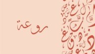 صورة مقال معنى اسم روعة