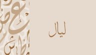 صورة مقال معنى اسم ليال
