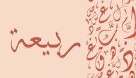 صورة مقال معنى اسم ربيعة