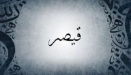 معنى اسم قيصر صورة مقال معنى اسم قيصر