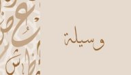 صورة مقال معنى اسم وسيلة