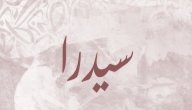 صورة مقال معنى اسم سيدرا