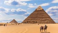 مواقع التراث العالمي في مصر صورة مقال مواقع التراث العالمي في مصر