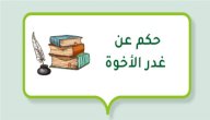حكم عن غدر الأخوة صورة مقال حكم عن غدر الأخوة