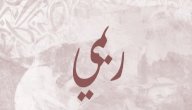 صورة مقال معنى اسم ريمي