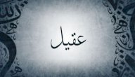 معنى اسم عقيل صورة مقال معنى اسم عقيل
