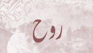 معنى اسم روح صورة مقال معنى اسم روح