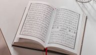 آيات قرآنية عن حب الله للعبد صورة مقال آيات قرآنية عن حب الله للعبد