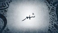 صورة مقال معنى اسم شهم