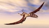 صورة مقال أبرز أنواع الديناصورات الطائرة