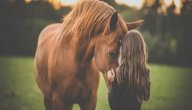عبارات عن حب الخيل صورة مقال عبارات عن حب الخيل
