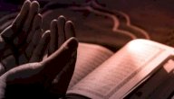 آيات التفكر في خلق الله آيات التفكر في خلق الله