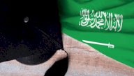 نظام عين للتعليم في المملكة العربية السعودية نظام عين للتعليم في المملكة العربية السعودية