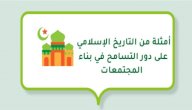 صورة مقال أمثلة من التاريخ الإسلامي على دور التسامح في بناء المجتمعات
