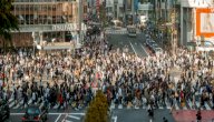 كيفية تنظيم الزيادة السكانية صورة مقال كيفية تنظيم الزيادة السكانية