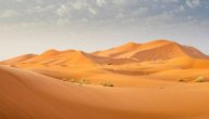 ألوية البادية في الأردن صورة مقال ألوية البادية في الأردن