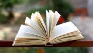 شعر النابغة الذبياني صورة مقال شعر النابغة الذبياني