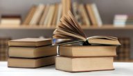 أفضل الكتب التي تحدثت عن غاندي صورة مقال أفضل الكتب التي تحدثت عن غاندي