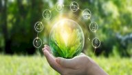 صورة مقال كيفية تحقيق التنمية المستدامة