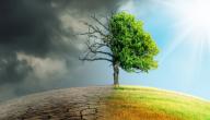 صورة مقال تأثير تغير المناخ على البيئة
