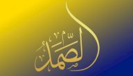فوائد اسم الله الصمد صورة مقال فوائد اسم الله الصمد