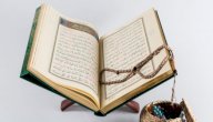 أنواع الخطوط التي كتب فيها القرآن الكريم صورة مقال أنواع الخطوط التي كتب فيها القرآن الكريم